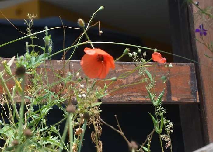 Zum Lendwirt 招待所 3*